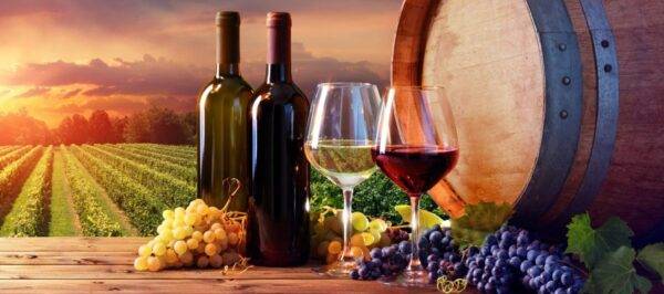 Topwijnen tussen de 10 en 20 euro!