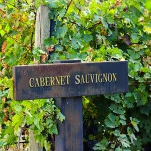 Cabernet Sauvignon