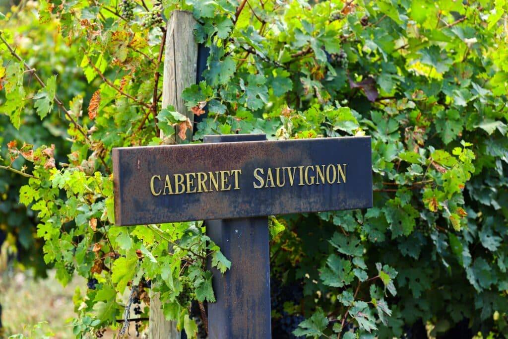 Cabernet Sauvignon