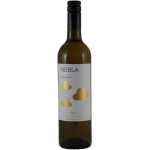 Nebla Verdejo