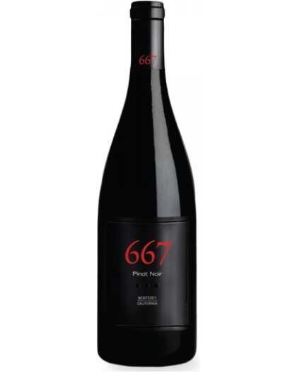 Noble Vines 667 Pinot Noir AVA Monterey